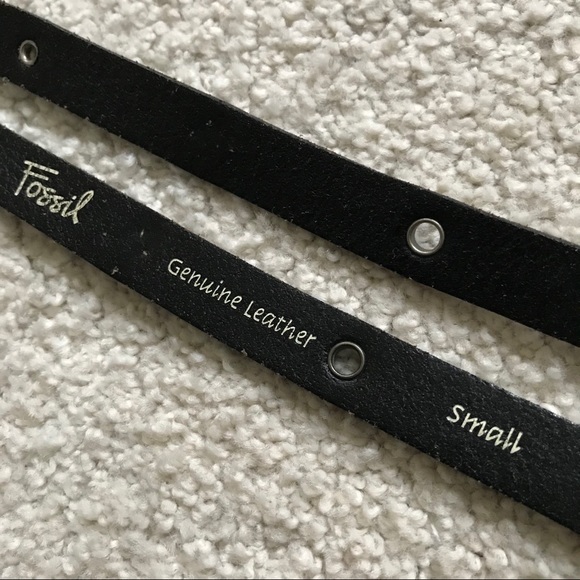 Fossil Belt- - Picture 9 of 11